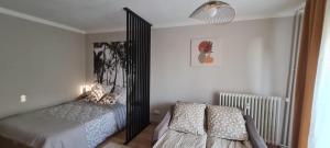 a bedroom with a mirror and a bed and a chair at Studio proche centre-ville in Autun