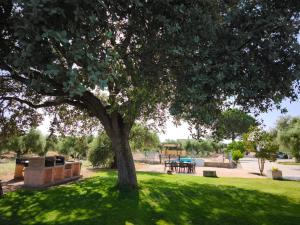 Vonkajšia záhrada v ubytovaní Recreo San Andrés