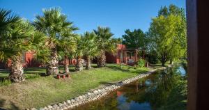 a house with palm trees next to a river at Finca Silvestre in San Rafael