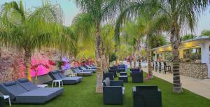 a row of palm trees and blue lounge chairs at Corfu Hotel in Ayia Napa