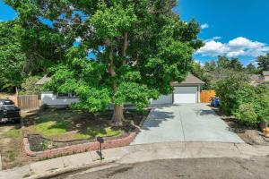 a tree in front of a house with a driveway at Fountain Mountain Trails & Wildlife BBQ Fire Pit in Fountain +48 photos