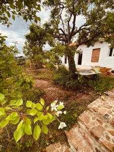 a house with a tree and flowers in front of it at Monte das Raizes in São Teotónio +18 photos