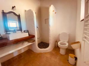 a bathroom with a toilet and a sink and a mirror at Monte das Raizes in São Teotónio