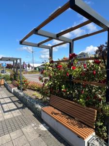 Vonkajšia záhrada v ubytovaní Apartament Baltik Star