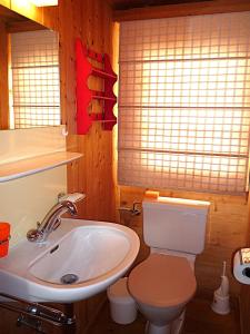 a bathroom with a toilet and a sink at Chalet Le Recoulet 4 personnes - Evolene in Evolène