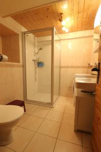 a bathroom with a shower and a toilet and a sink at Le Tsenevire - appartement 4 personnes - Evolene in Evolène