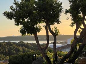 Φυσικό τοπίο κοντά σε αυτή η παραθεριστική κατοικία