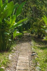 a wooden path in a garden with green plants at Bamboo River Lodge in Horquetas