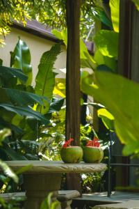 two green pumpkins sitting on a table in a garden at Bamboo River Lodge in Horquetas