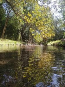 una masa de agua con árboles en el fondo en Chalet del arroyo, en La Porteña