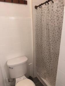 a bathroom with a toilet and a shower curtain at Kitchenette in New York