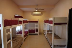 une chambre avec plusieurs lits superposés dans l'établissement Arabian Pearl Beach Resort Cherai, à Cochin