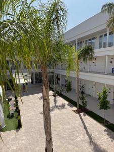 Zahrada ubytování SH Campus Lyceum