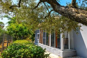 Κήπος έξω από το Carpe Diem Family House