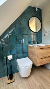 a bathroom with a toilet and a mirror at Dom wakacyjny z basenem i sauną GWIZD Ustronie Morskie in Grąbnica +18 photos