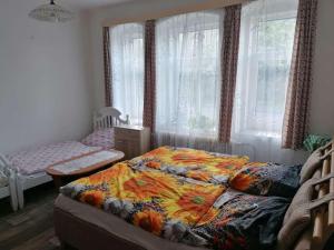 a bedroom with a bed and a crib and windows at Ubytováni nad hradem in Česká Lípa