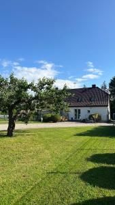 a tree in a field in front of a house at Dom wakacyjny z basenem i sauną GWIZD Ustronie Morskie in Grąbnica