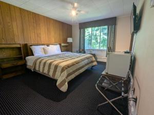 a hotel room with a bed and a television at Mariner motor hotel in Collingwood