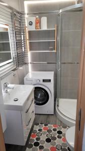 a small bathroom with a washing machine in it at Apartament/Pietro domu in Charzykowy +3 photos