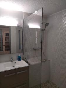 une salle de bain avec douche et lavabo dans l'établissement Grand appart proche des plages Parking privé, à Saintes-Maries-de-la-Mer 35 autres photos