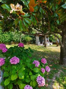 Fotografie z fotogalerie ubytování Villa Angelica v destinaci San Bartolomeo + 65 fotografií