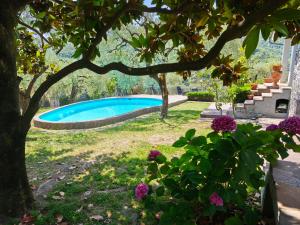 Fotografie z fotogalerie ubytování Villa Angelica v destinaci San Bartolomeo