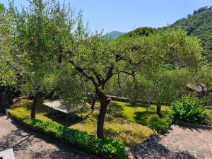 Fotografie z fotogalerie ubytování Villa Angelica v destinaci San Bartolomeo