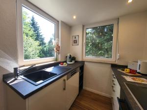 a small kitchen with a sink and two windows at Bungalow Maya in Lauchhammer