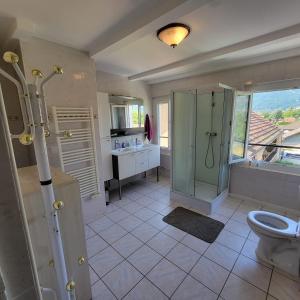 a bathroom with a shower and a toilet and a sink at Au bord du Foron in Scionzier +23 photos