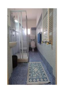a bathroom with a shower and a toilet and a rug at Centrale appartamento Via Roma in Follonica +7 photos