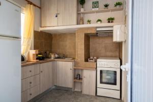 Кухня или мини-кухня в Dimitri's Apartment
