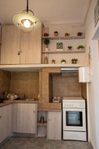 Кухня или мини-кухня в Dimitri's Apartment
