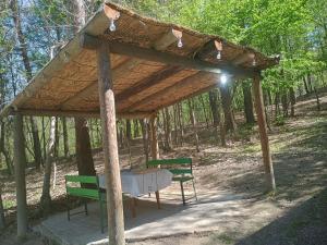 a picnic shelter with two benches in a forest at Casa Padurarului in Ocnele Mari