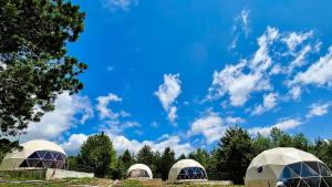 three domes in a field under a blue sky at Shaori Space - შაორი სფეისი in Nikortsminda