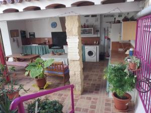 Casa Paula في Orcheta: منظر لغرفة المعيشة والمطبخ مع النباتات