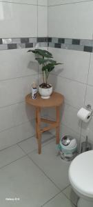 a bathroom with a table with a potted plant on it at Khanyisa Accommodation Services in KwaDukuza