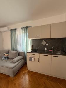 Kuchyň nebo kuchyňský kout v ubytování Apartments Antolkovic