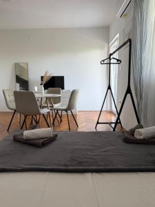 TV a/nebo společenská místnost v ubytování Apartments Antolkovic