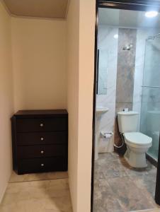 Un baño con inodoro y ducha de cristal. en Hotel Iraca, en Aquitania 12 fotos más