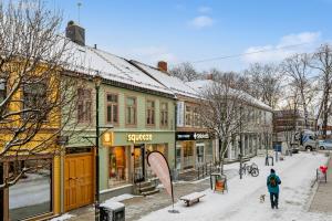 Central Apartment for 3 om vinteren