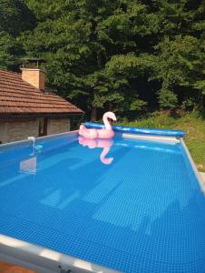 a pink flamingo float in a swimming pool at Kuca za odmor Lovric 