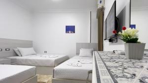 TV a/nebo společenská místnost v ubytování Golden Pyramids Alaska Inn