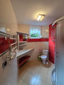 een badkamer met een toilet, een wastafel en rode kasten bij domek monika in Okuninka +12 foto's