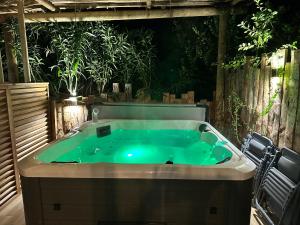 jacuzzi w ogródku z roślinami w obiekcie T3 avec spa, hyper centre, port w mieście Porto-Vecchio