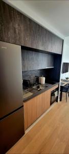 eine Küche mit Spüle und Arbeitsplatte in der Unterkunft BW Queen Apartman 412-whit free garage parking in Belgrad