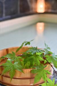大町市にあるＧｕｅｓｔ Ｈｏｕｓｅ Ｔａｋｅｎｏｙａ - Vacation STAY 28022vのギャラリーの写真