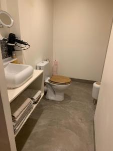 un baño con inodoro y lavabo en Maison, en Alès