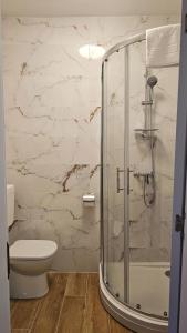 a bathroom with a shower and a toilet at Val Center in Novalja