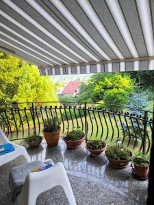 Κήπος έξω από το Penthouse Villa Ljubljana