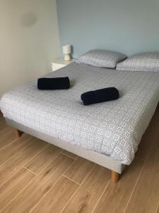 ein Bett mit zwei Kissen darauf in einem Schlafzimmer in der Unterkunft Maison traditionnelle en pierre - Penn'ti in Cancale